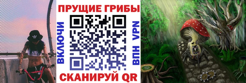 Псилоцибиновые грибы Psilocybine cubensis  купить   блэк спрут ССЫЛКА  Тольятти 