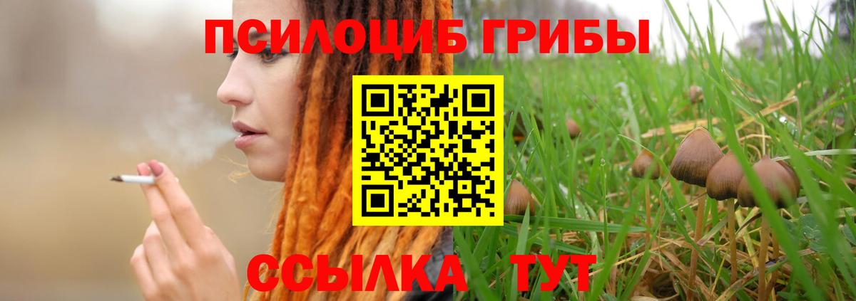 Псилоцибиновые грибы MAGIC MUSHROOMS  Галлюциногенные грибы прущие грибы  Тольятти  Вход с VPN 